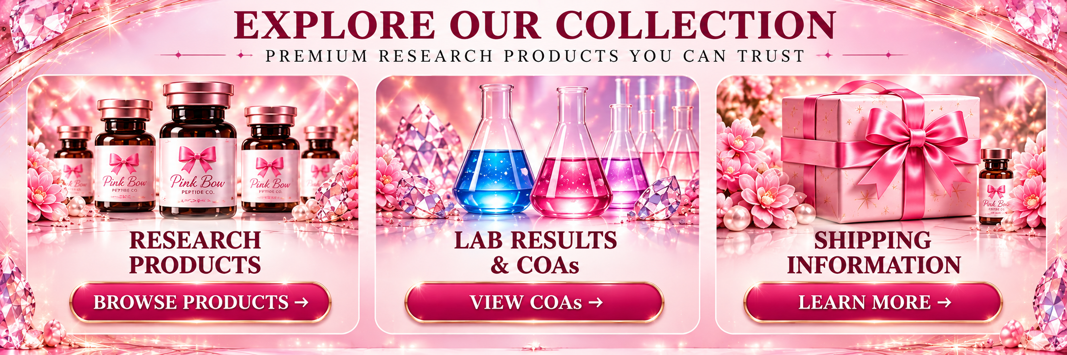 Explore Our Collection